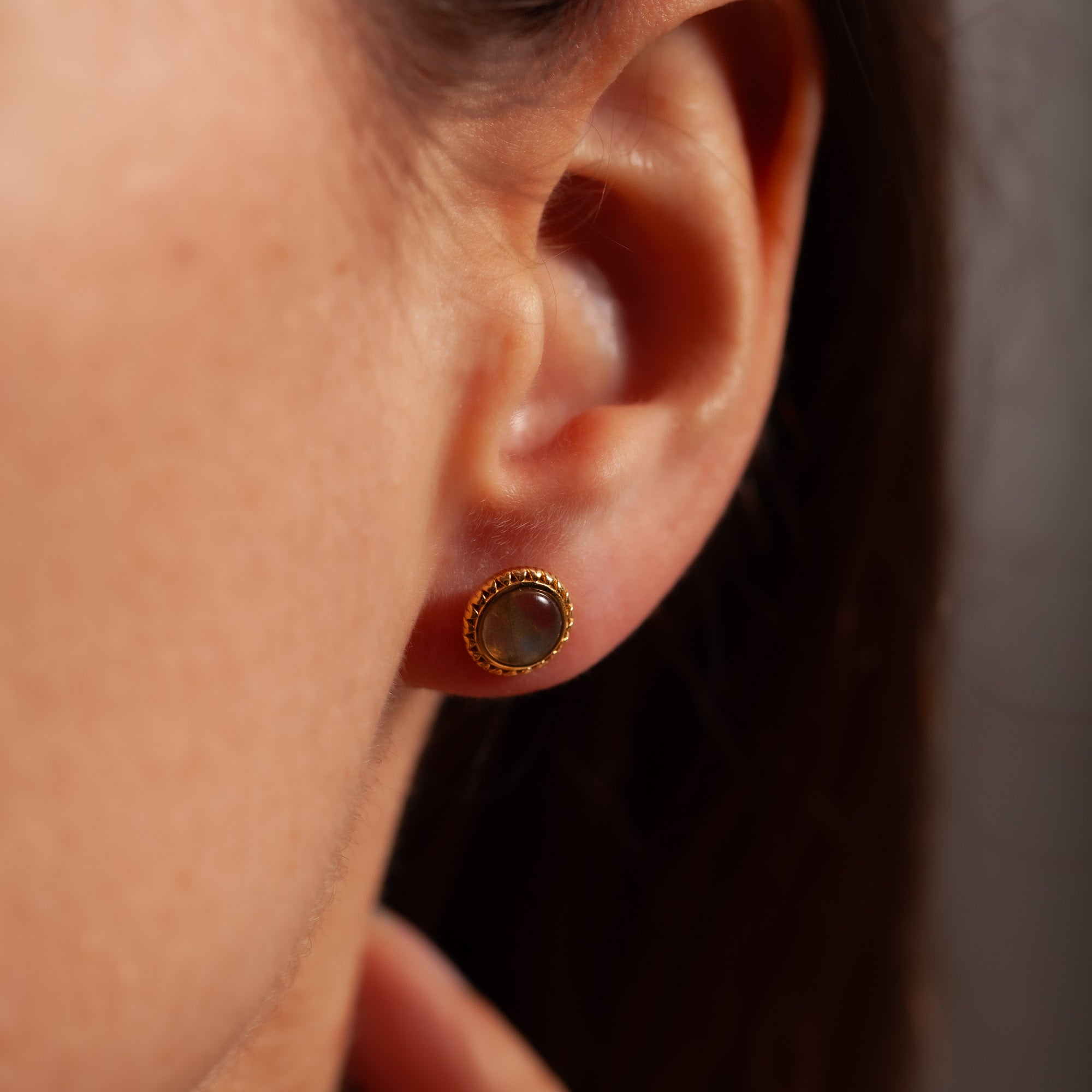 Ternura Labradorit Ohrstecker | Gold