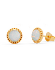 Ternura Moonstone Earring | Silver
