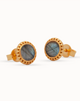 Ternura Moonstone Earring | Silver