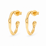 Luvia Hoops | Gold
