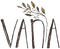 VANA